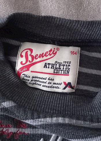 Gri Çizgili Erkek çocuk Sweatshirt - Görsel 2