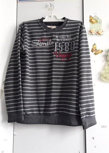 Gri Çizgili Erkek çocuk Sweatshirt - Görsel 3