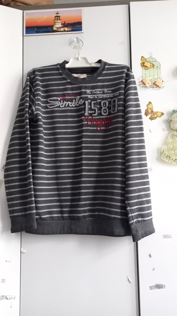 Gri Çizgili Erkek çocuk Sweatshirt - Görsel 5