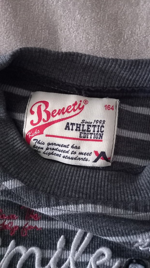 Gri Çizgili Erkek çocuk Sweatshirt - Görsel 2