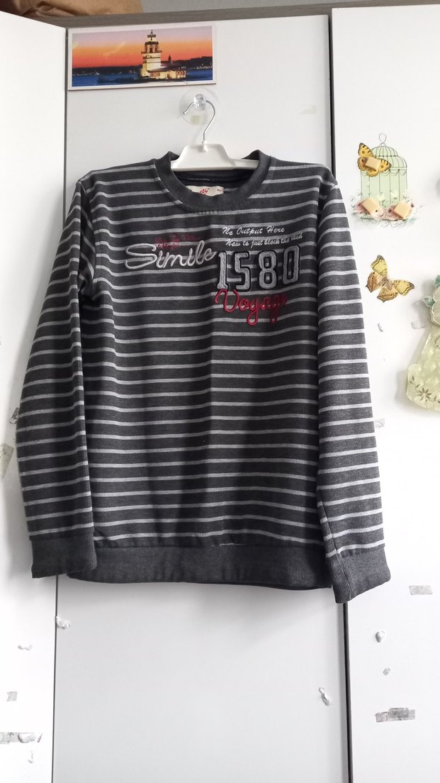 Gri Çizgili Erkek çocuk Sweatshirt - Görsel 4