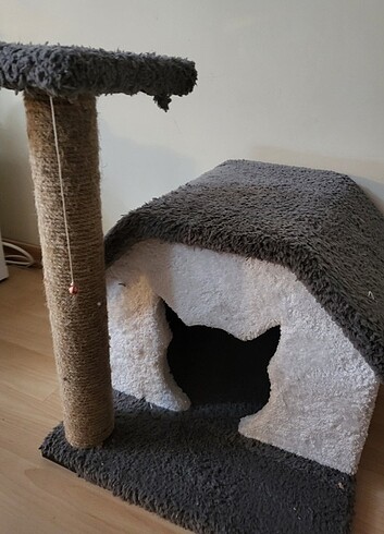  Beden Kedi evi 