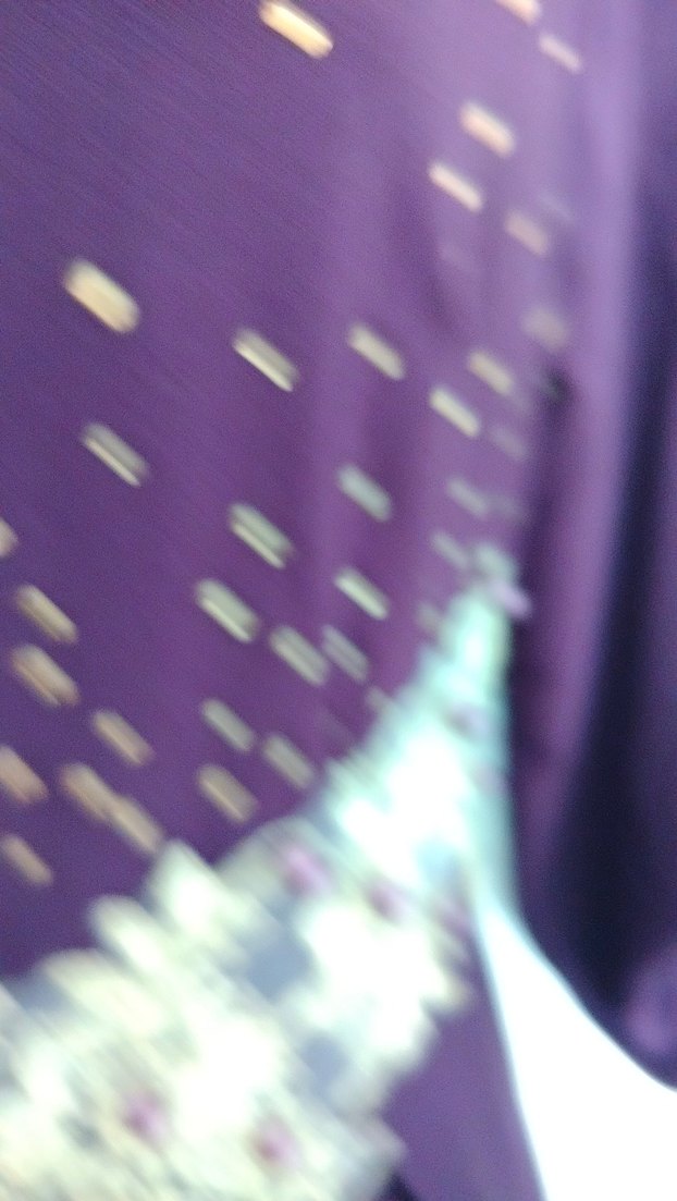 42 beden Uzun Mor İşlemeli Kadın Abiye - Görsel 3