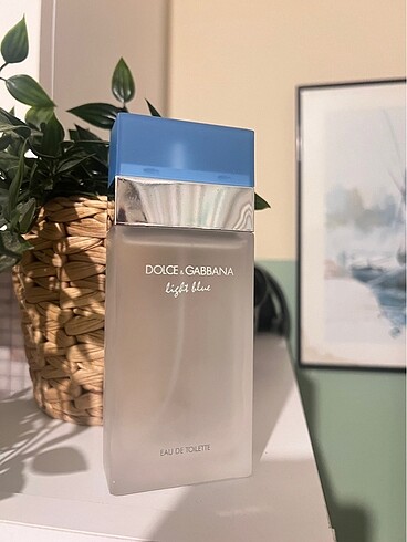 Dolce Gabbana Light Blue