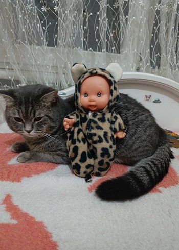 kostümlü bebek