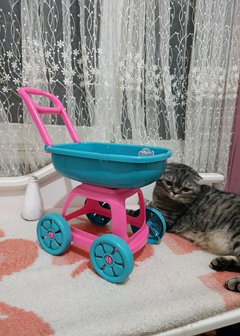 Pembe Mavi Oyuncak Araba