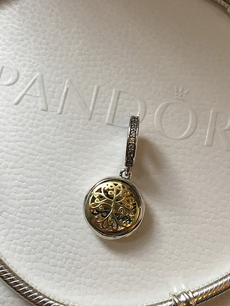 Pandora Family Forever Charm
