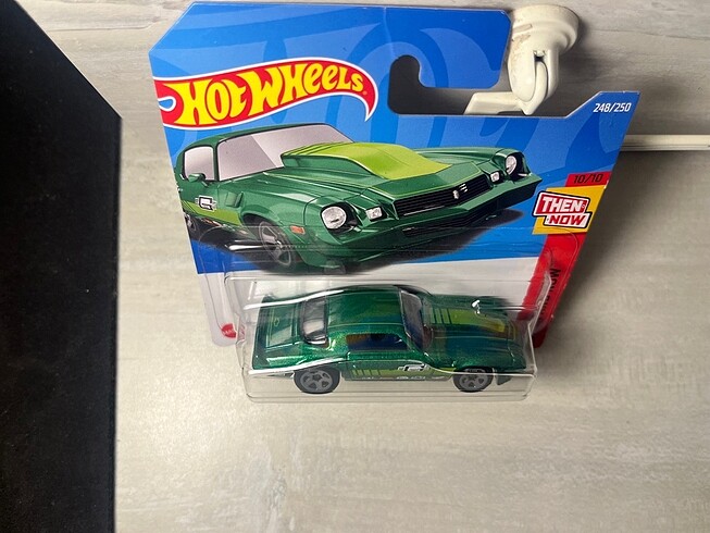  Beden Renk ?81 Camaro