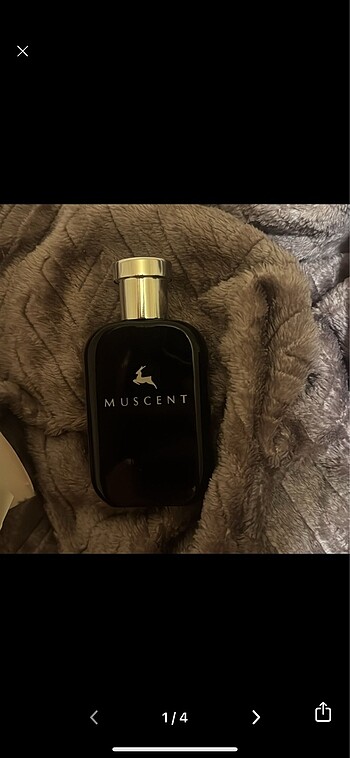 Muscent kilian