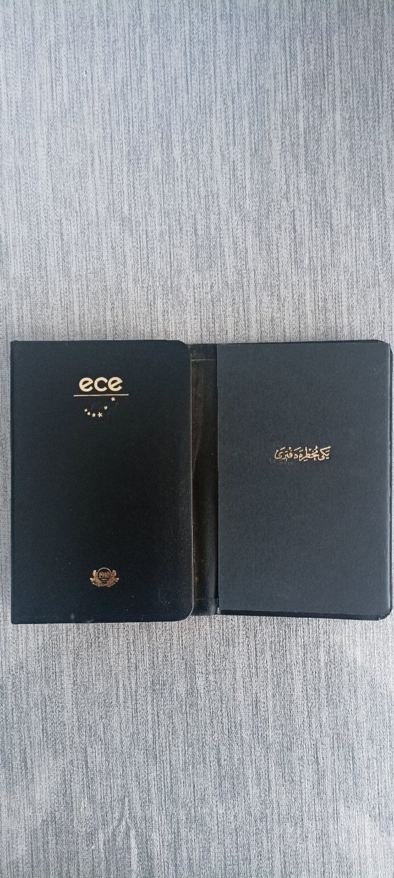 2010 Ece Ajandası 100. yılı özel baskı - Görsel 3