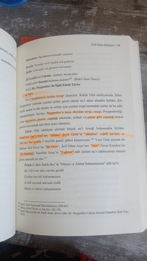Türk-İslâm Edebiyatı Kitabı - Görsel 2