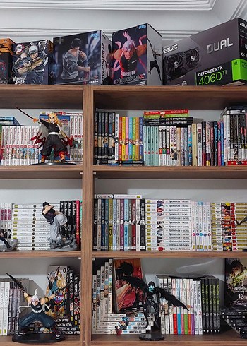 Manga koleksiyonu