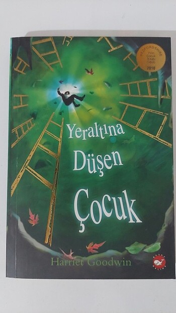 Yeraltına Düşen Çocuk