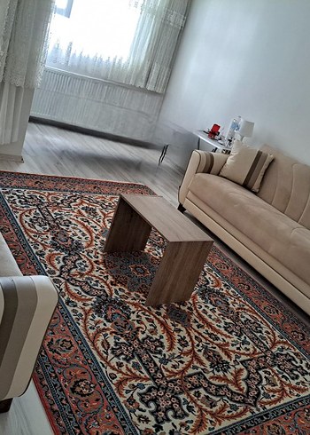 Ikea iki kanepe aynı renk