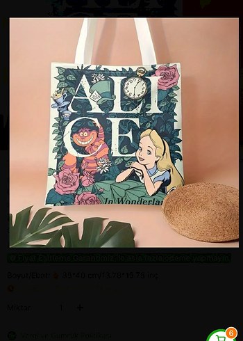 Alice bez çanta