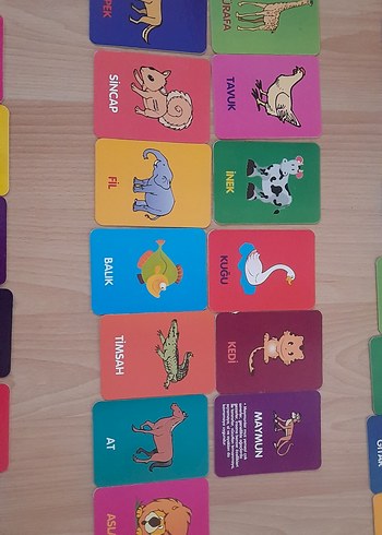 Beden Renk Eğitici kartlar 2-6 yaş