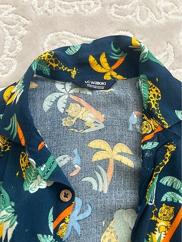 LC Waikiki Erkek çocuk çocuk gömlek keten kumaş