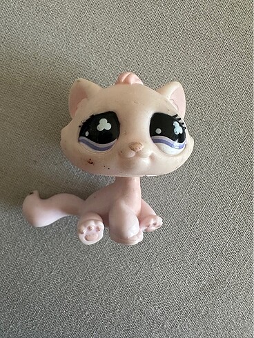 LPs miniş kedi