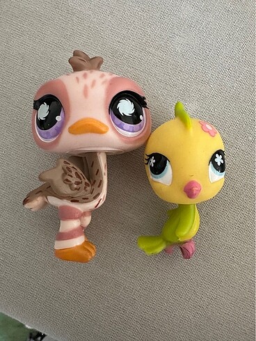 LPs miniş kuşlar