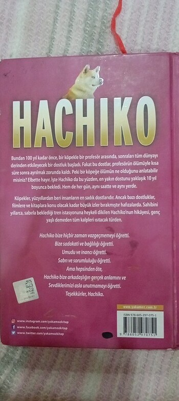  Kitap 