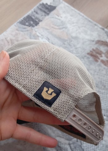 Gri Erkek Street Wear Şapka Aslan İşlemeli - Görsel 4