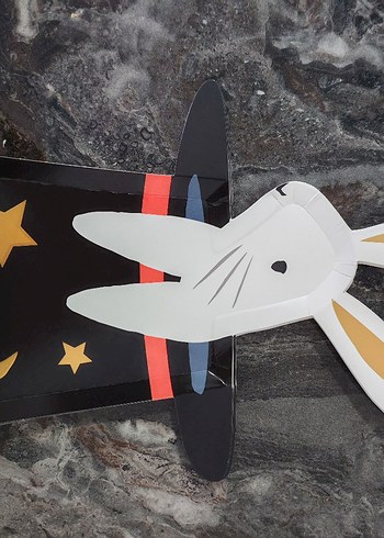 meri meri parti - Görsel 2