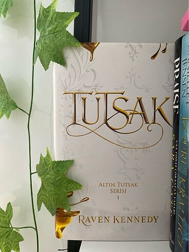 Tutsak raven kennedy