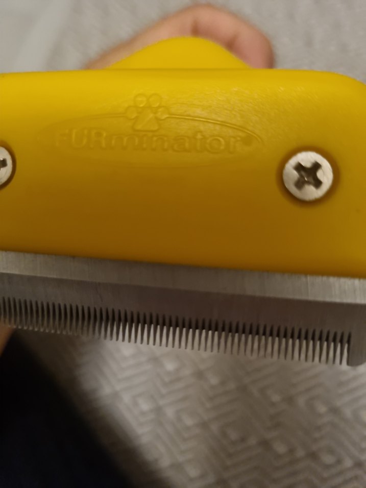 Sarı Kedi Tüyü Toplayıcı Tarağı - Görsel 2