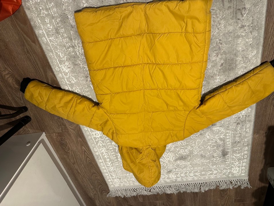 Sarı Fermuarlı Erkek Çocuk Mont - Görsel 4