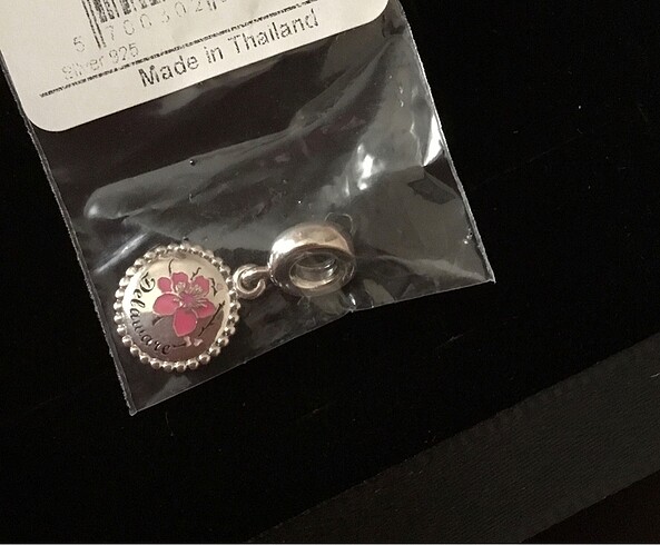 Pandora delaware charm