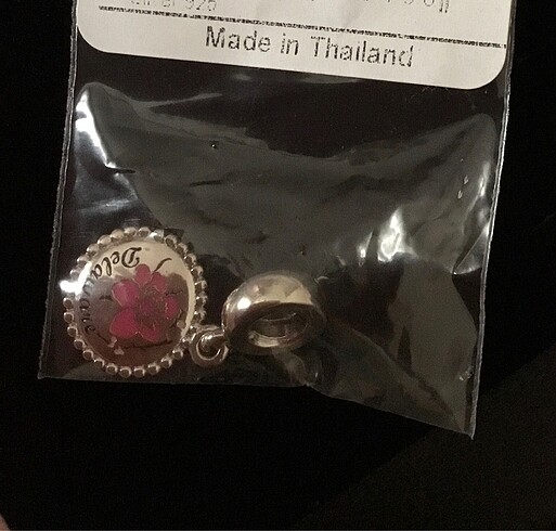 Pandora Pandora delaware charm