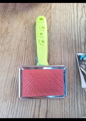 Renkli Kedi Aksesuar Seti - Görsel 4