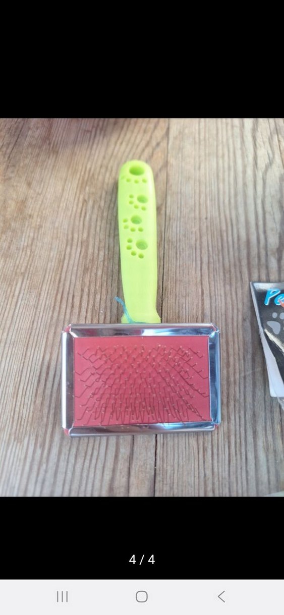 Renkli Kedi Aksesuar Seti - Görsel 4