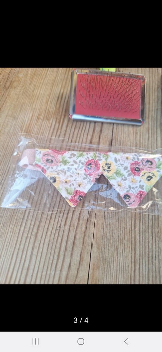 Renkli Kedi Aksesuar Seti - Görsel 3