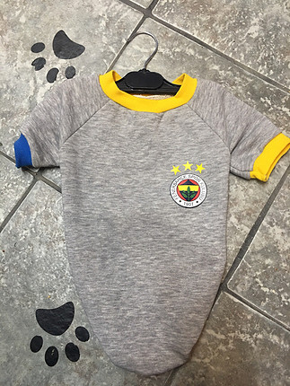 Kedi köpek kıyafet