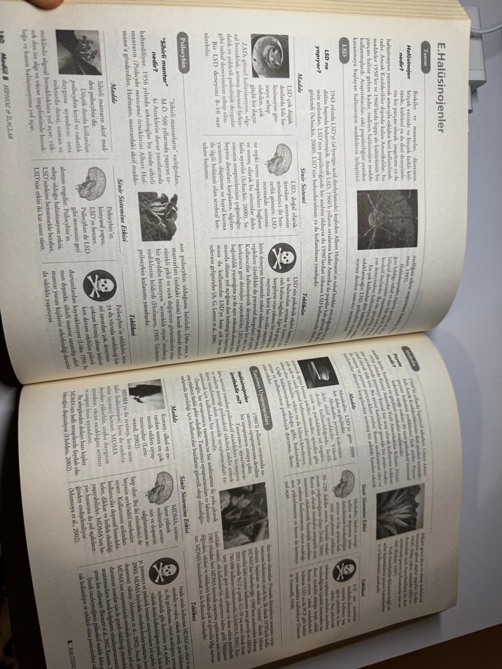 Psikoloji'ye Giriş - Rod Plotnik - Görsel 3