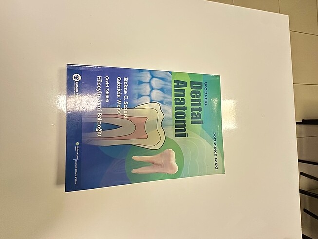 Woelfel dental anatomi kitabı