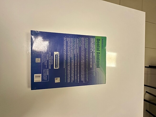 Woelfel dental anatomi kitabı