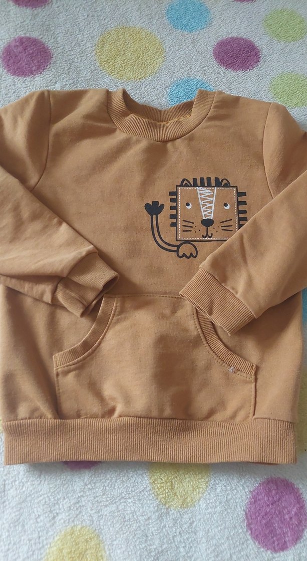 Erkek Çocuk Kahverengi Kaplan Baskılı Sweatshirt - Görsel 2