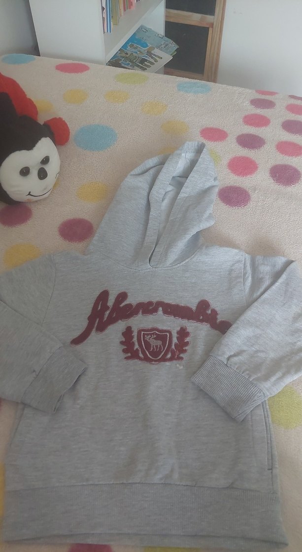 Gri Kapüşonlu Erkek Sweatshirt - Görsel 2