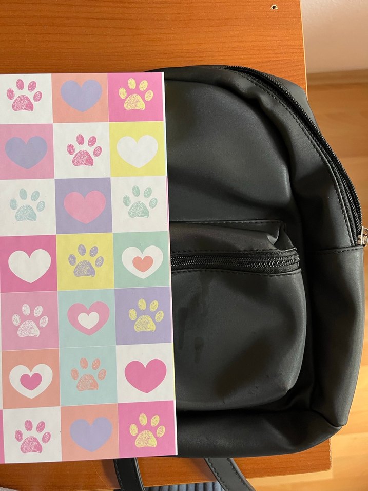 LCW Kadı Mini Sırt Çantası - Görsel 4