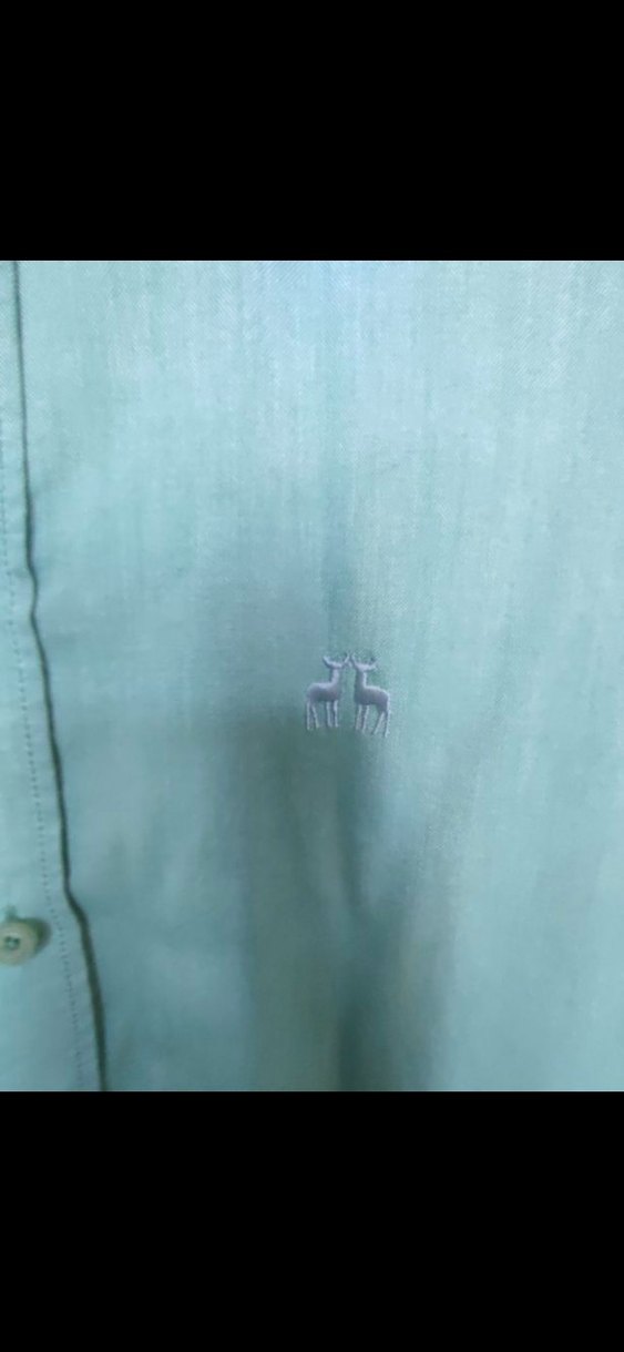 Karaca Yeşil Erkek Gömlek | S Beden (38 - Görsel 4