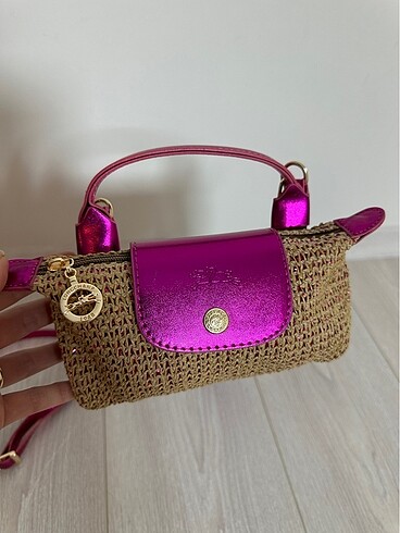 Longchamp pounch