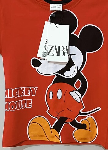 Zara Zara Mickey takim