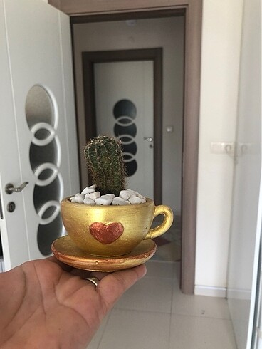 Fincan saksı