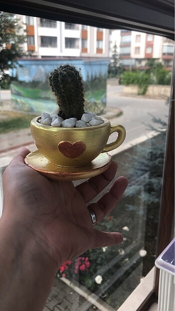 Beden Fincan saksı