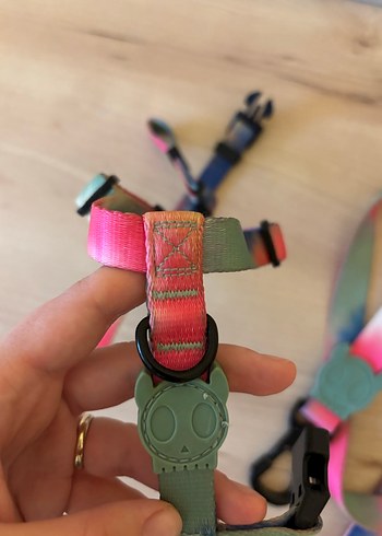  Beden Zeedog Renkli Köpek Göğüs Tasması ve Gezdirme Kayışı