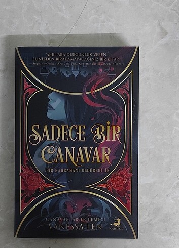 Sadece bir canavar 
