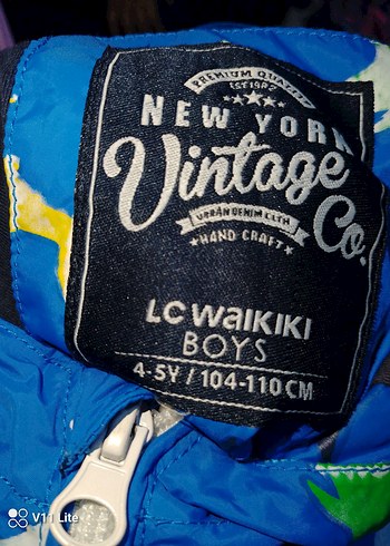 Kapüşonlu Mavi Erkek Çocuk Yağmurluğu - Görsel 3