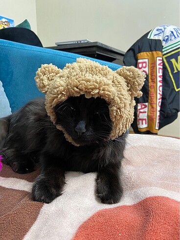 Kedi köpek şapka polar astarlı cırtcırtlı boyundan bağlama şapka